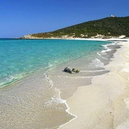 T2 Neuf Climatise Dans Villa A Corbara Dış mekan fotoğraf