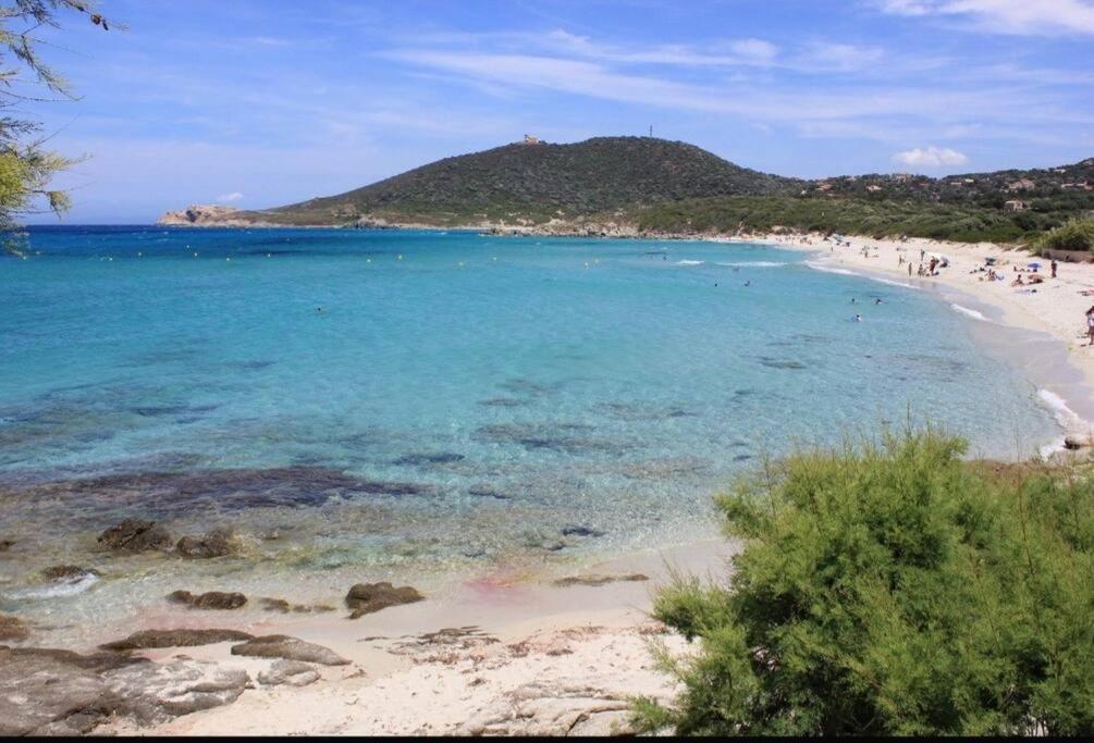 T2 Neuf Climatise Dans Villa A Corbara Dış mekan fotoğraf
