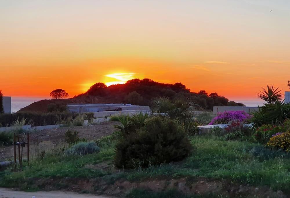 T2 Neuf Climatise Dans Villa A Corbara Dış mekan fotoğraf
